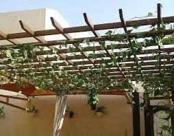 مظلات جلسات تركيب مظلات جلسات المدينه 
