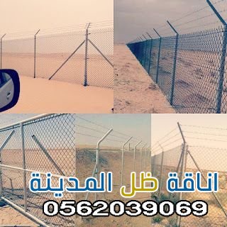 مقاول شبوك في المدينة المنورة | تركيب شبوك بأسعار منافسة